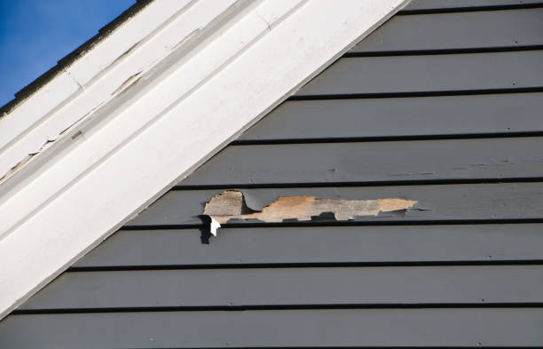 Best Insulated Siding Installation  in Fort Bragg, CA